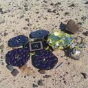 All rights reserved Beagle 2